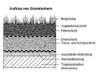 gründach